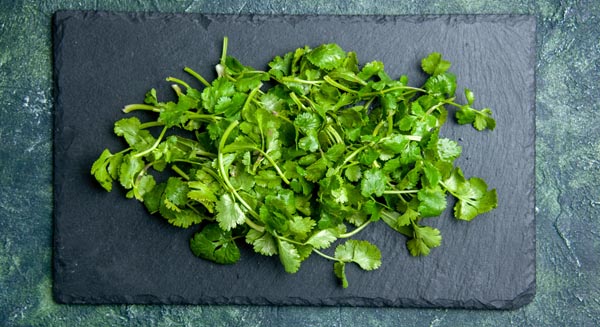 Los mejores sustitutos del cilantro y sus usos en la cocina