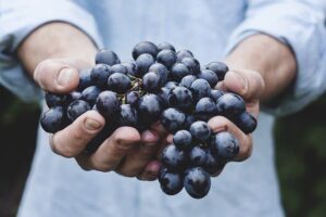 ¿Cuánto tiempo puedes mantener las uvas en el refrigerador?