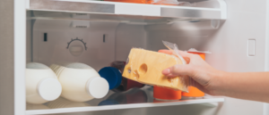 Cómo almacenar queso, guía para garantizar la calidad y la longevidad