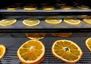 ¿Cuánto duran las naranjas deshidratadas?